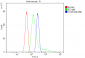 Anti-Human COPE DyLight® 488 conjugated Antibody(monoclonal, 9B6)